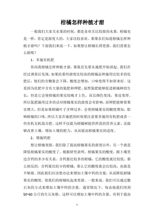 柑橘怎样种植才甜