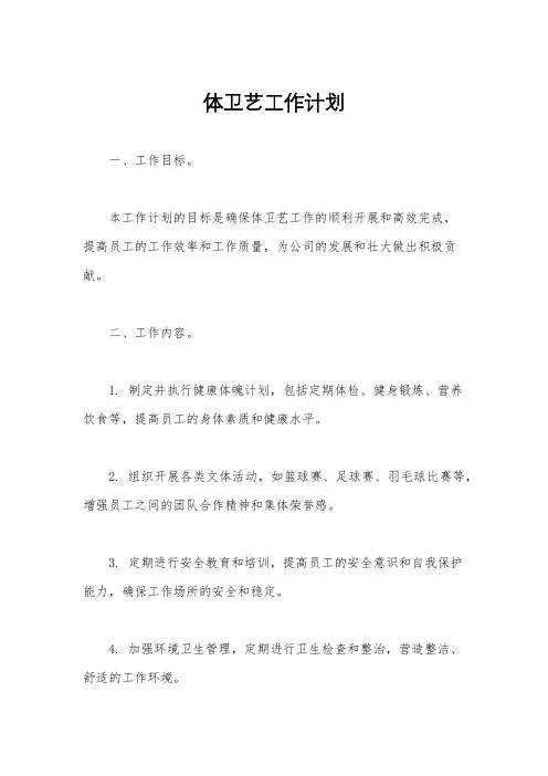 体卫艺工作计划