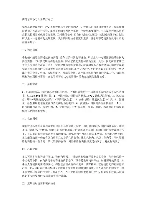 狗得了细小怎么治最好办法