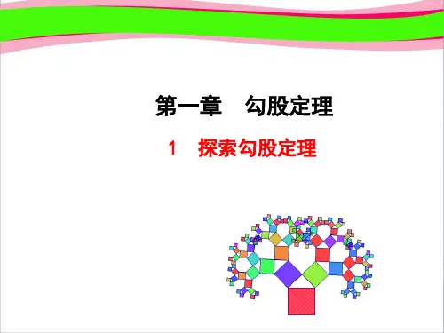 探索勾股定理(优质课)获奖课件