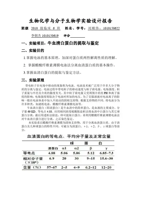 生物化学与分子生物学实验设计报告