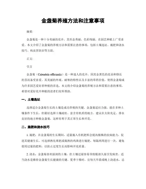 金盏菊养殖方法和注意事项