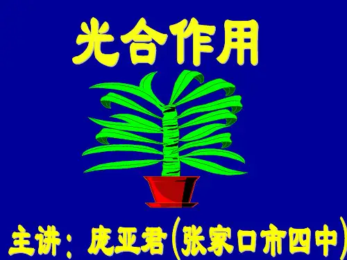 初一生物《光合作用》(课堂PPT)