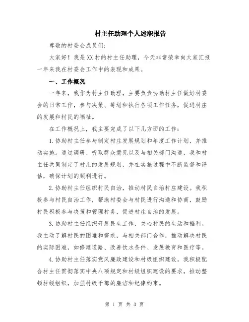村主任助理个人述职报告
