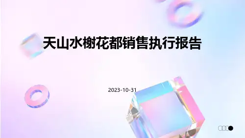 天山水榭花都销售执行报告