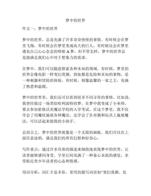 梦中的世界