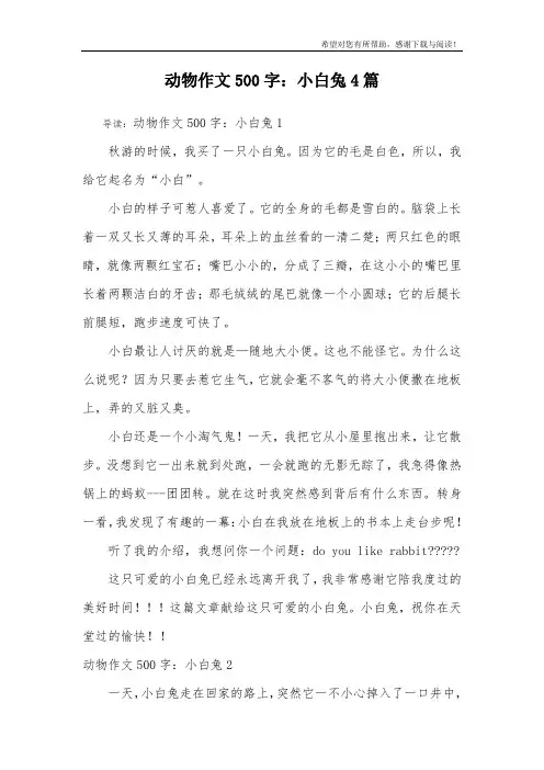 动物作文500字：小白兔4篇