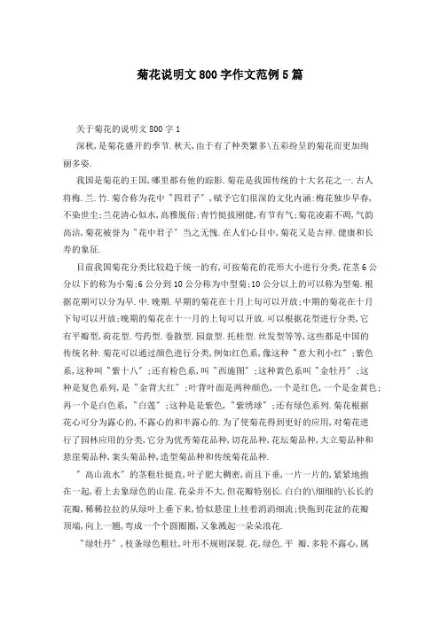 菊花说明文800字作文范例5篇