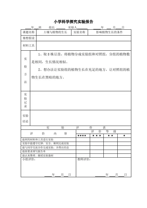 小学科学探究实验报告