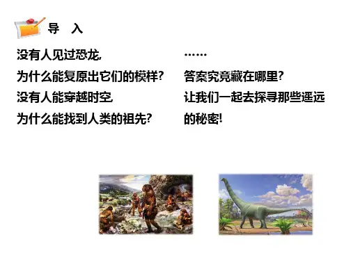六年级科学上册《消失的恐龙》课件