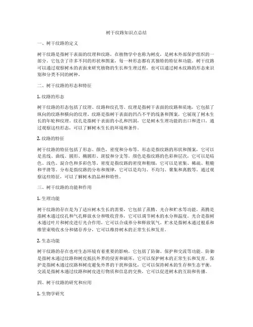 树干纹路知识点总结