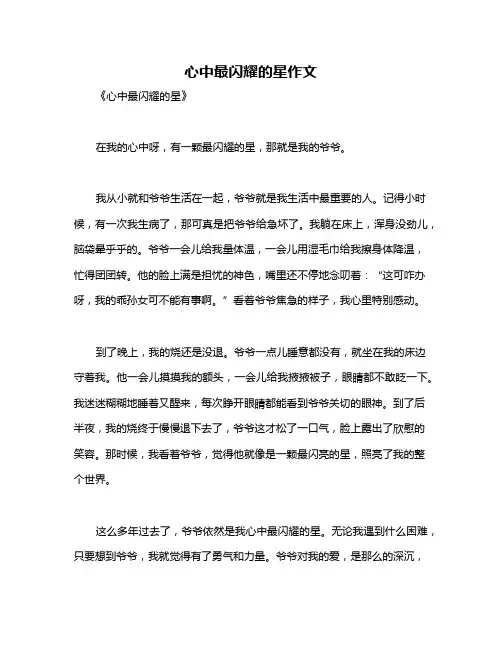 心中最闪耀的星作文