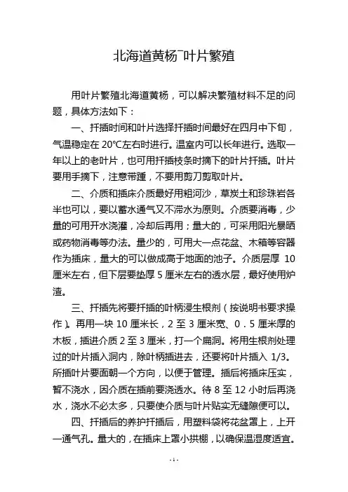 北海道黄杨―叶片繁殖