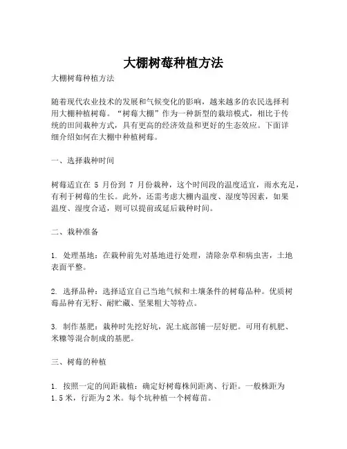 大棚树莓种植方法