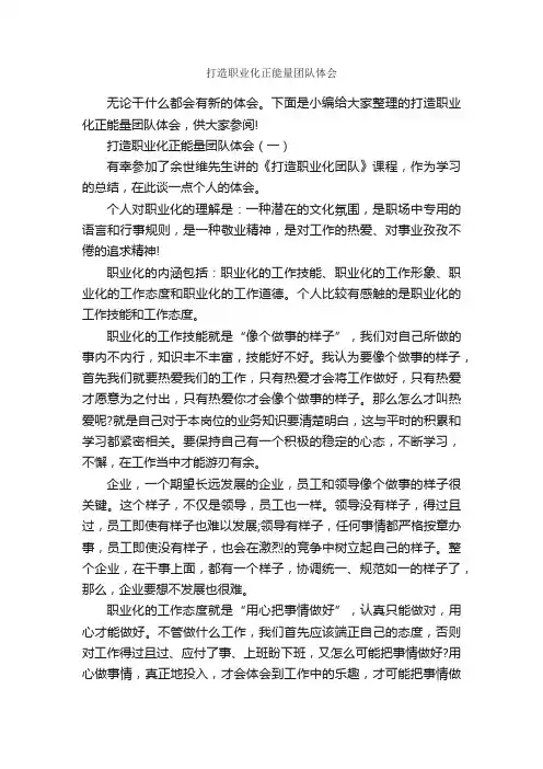 打造职业化正能量团队体会_职场励志