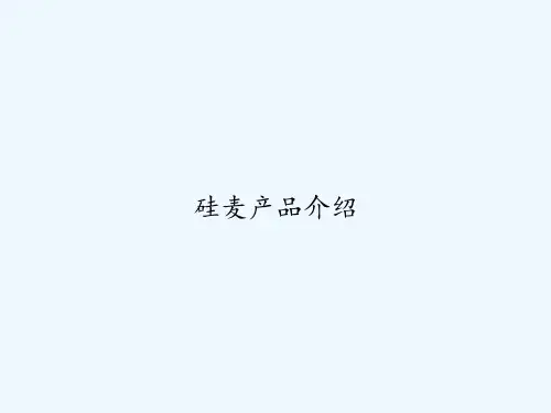 硅麦产品介绍 PPT