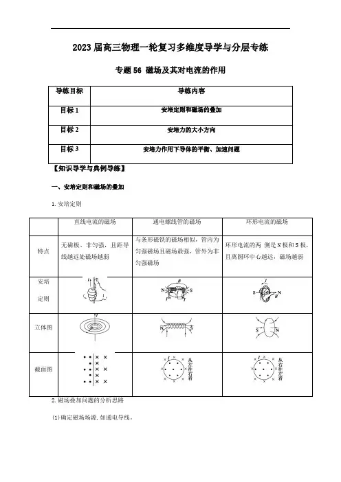 专题56 磁场及其对电流的作用(解析版)
