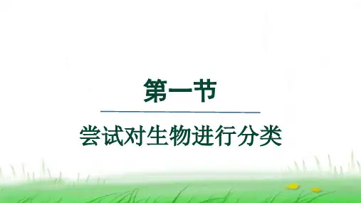 人教版八年级生物上册第六单元第一章第一节尝试对生物进行分类课件