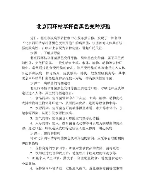 北京四环枯草杆菌黑色变种芽孢
