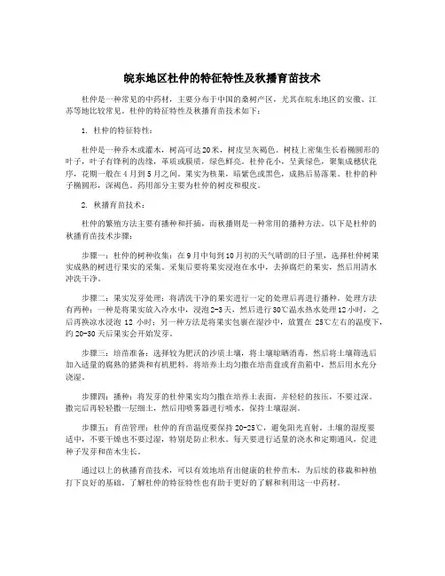 皖东地区杜仲的特征特性及秋播育苗技术