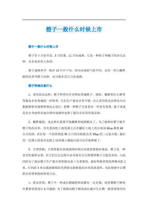 橙子一般什么时候上市