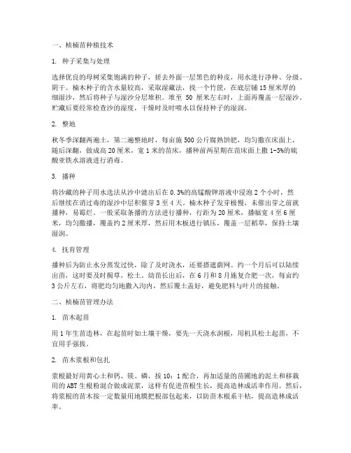 桢楠苗种植技术及管理办法