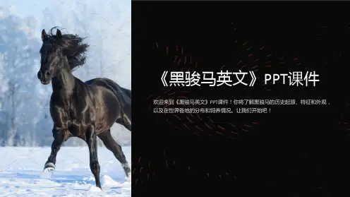 《黑骏马英文》课件