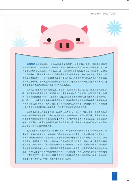 提高断奶母猪7d内配种率是提升母猪场生产效益的关键