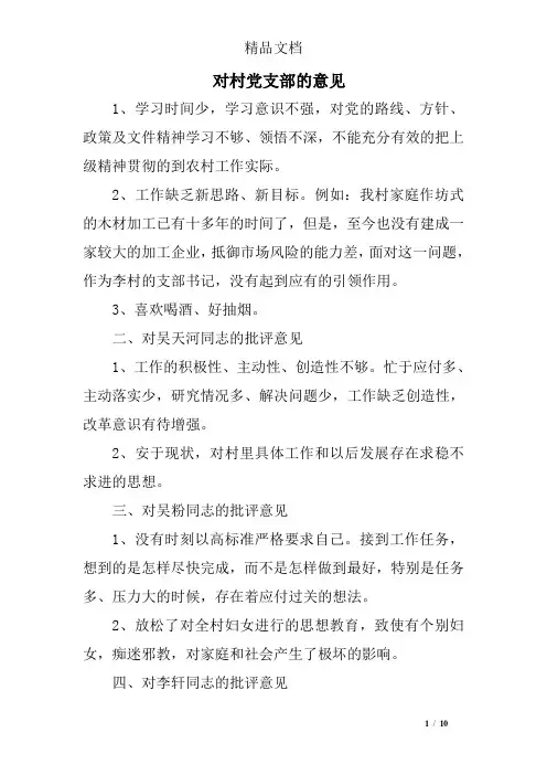 对村党支部的意见