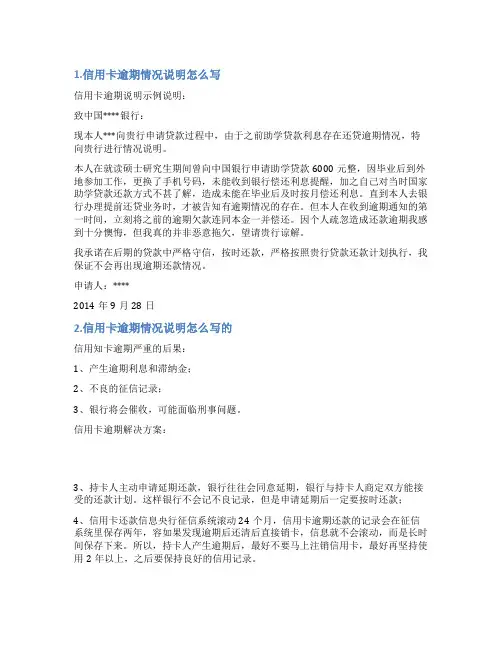 信用卡欠款情况说明
