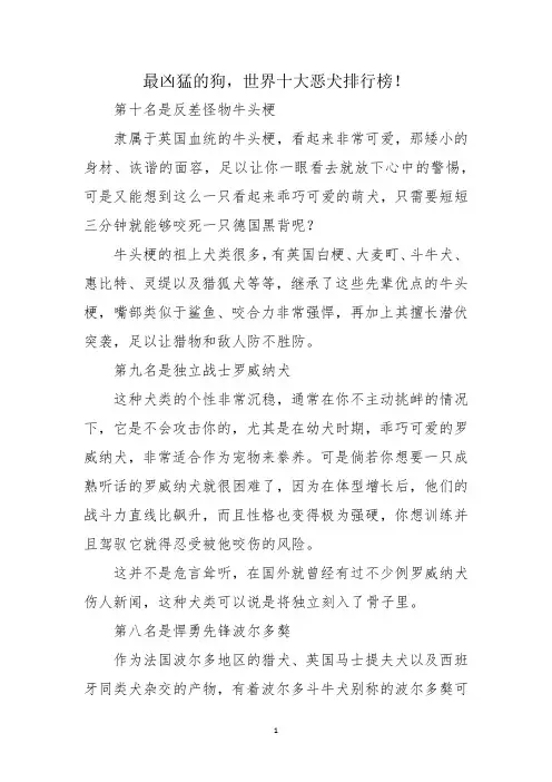 最凶猛的狗,世界十大恶犬排行榜!