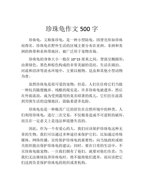 珍珠龟作文500字