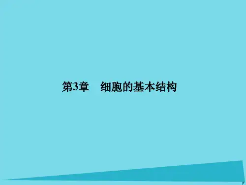 高考高考生物一轮复习-第三章 细胞的基本结构(第五课时)第1、2节 细胞膜-系统的边界、细胞器-系统