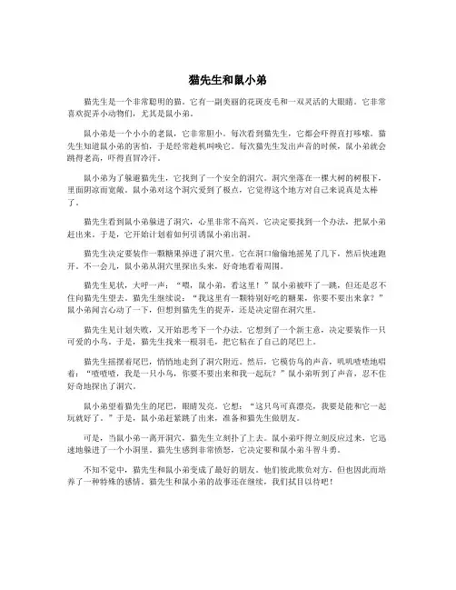 猫先生和鼠小弟