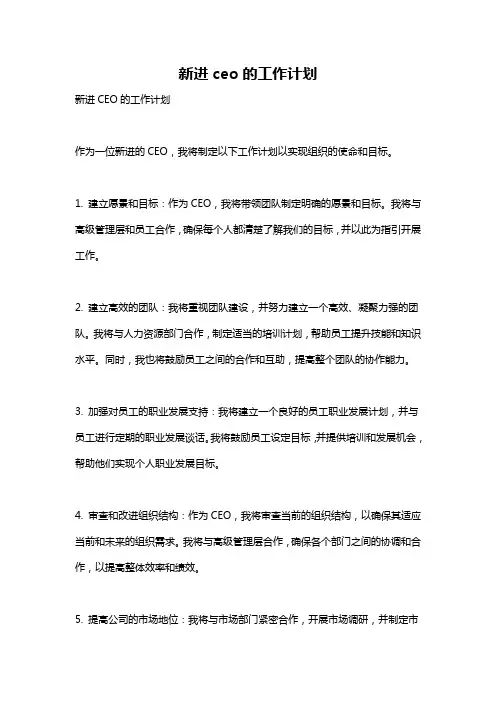 新进ceo的工作计划