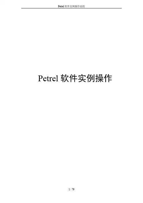 Petrel软件实例操作流程