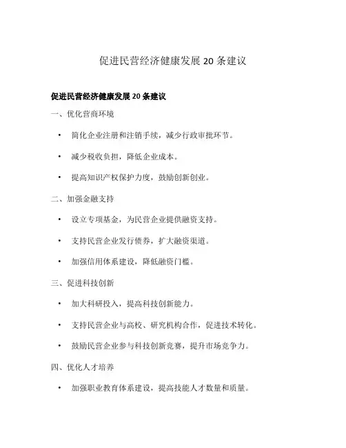 促进民营经济健康发展20条建议