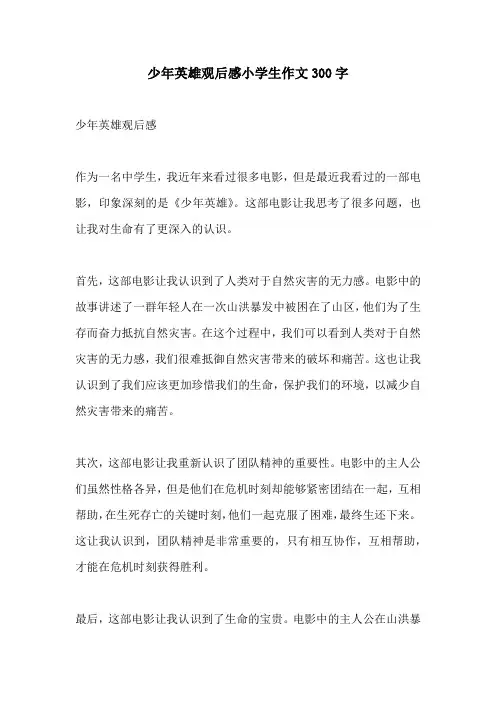 少年英雄观后感小学生作文300字