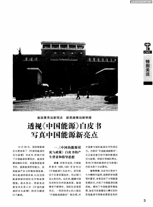 透视《中国能源》白皮书 写真中国能源新亮点