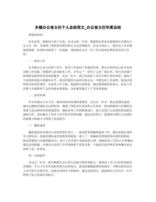 乡镇办公室主任个人总结范文_办公室主任年度总结