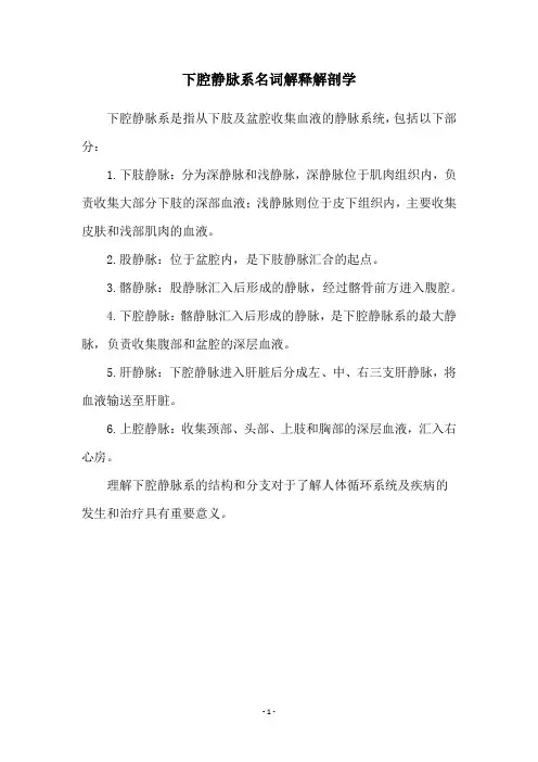 下腔静脉系名词解释解剖学