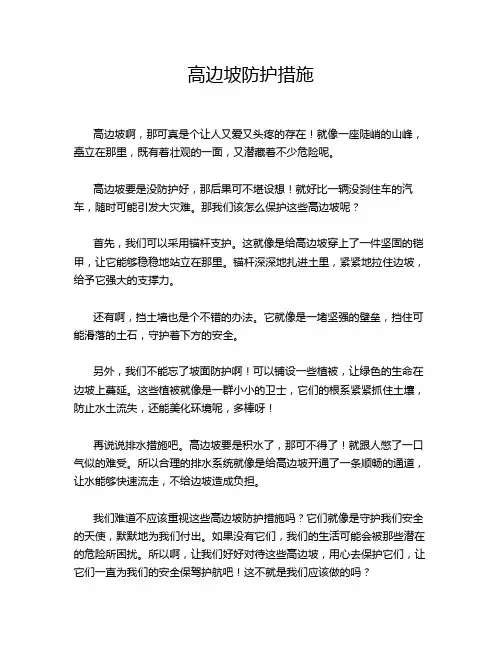 高边坡防护措施
