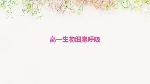 《高一生物细胞呼吸》课件
