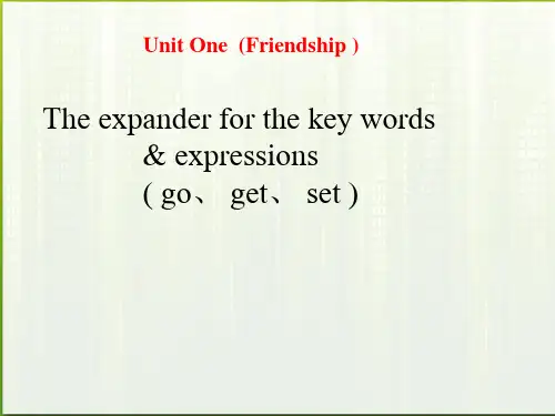 高考英语一轮复习  Unit1 Friendship知识点课件 新人教版必修1