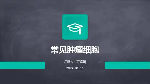 常见肿瘤细胞