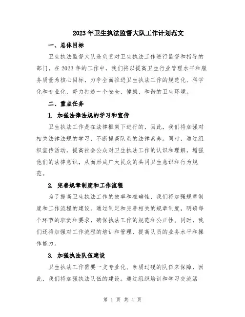 2023年卫生执法监督大队工作计划范文