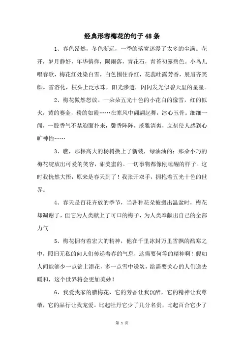 经典形容梅花的句子48条