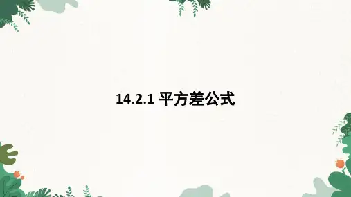 人教版数学八年级上册 14.2.1 平方差公式 课件(共15张PPT)