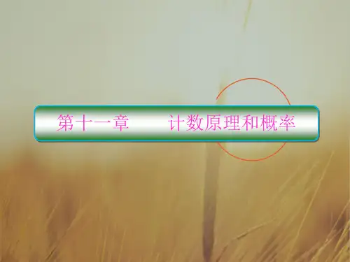最新-2021版高考数学理一轮总复习课件：第十一章计数原理和概率 111 精品