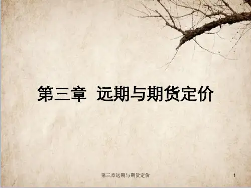 第三章远期与期货定价